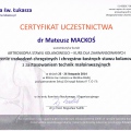 Powiększ obraz: certificate 4