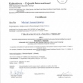 Powiększ obraz: certificate 7