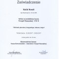 Powiększ obraz: certificate 12