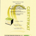 Powiększ obraz: certificate 16