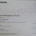 Powiększ obraz: certificate 2