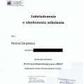 Powiększ obraz: certificate 13