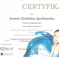 Powiększ obraz: certificate 4