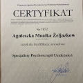Powiększ obraz: certificate 1