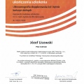 Powiększ obraz: certificate 1