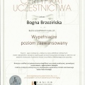 Powiększ obraz: certificate 4