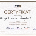 Powiększ obraz: certificate 6