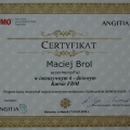 Powiększ obraz: certificate 5