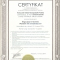 Powiększ obraz: certificate 29