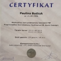 Powiększ obraz: certificate 10