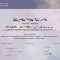 Powiększ obraz: certificate 4