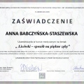 Powiększ obraz: certificate 1