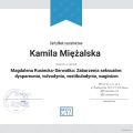 Powiększ obraz: certificate 2