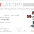 Powiększ obraz: certificate 5