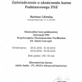 Powiększ obraz: certificate 4