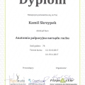 Powiększ obraz: certificate 14