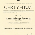 Powiększ obraz: certificate 3