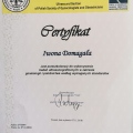 Powiększ obraz: certificate 5