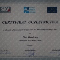Powiększ obraz: certificate 20