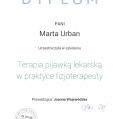 Powiększ obraz: certificate 8