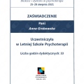 Powiększ obraz: certificate 48