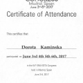 Powiększ obraz: certificate 2