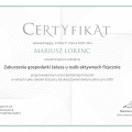 Powiększ obraz: certificate 60