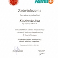 Powiększ obraz: certificate 5
