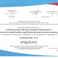 Powiększ obraz: certificate 5