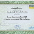Powiększ obraz: certificate 3