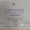Powiększ obraz: certificate 5