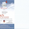 Powiększ obraz: certificate 4