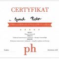 Powiększ obraz: certificate 5