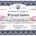 Powiększ obraz: certificate 11
