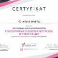 Powiększ obraz: certificate 7