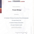 Powiększ obraz: certificate 14