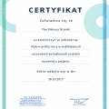Powiększ obraz: certificate 43