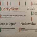 Powiększ obraz: certificate 14