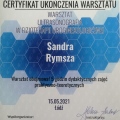 Powiększ obraz: certificate 9