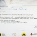 Powiększ obraz: certificate 3