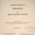 Powiększ obraz: certificate 13