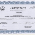 Powiększ obraz: certificate 7