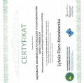 Powiększ obraz: certificate 11
