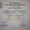 Powiększ obraz: certificate 6