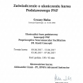 Powiększ obraz: certificate 5