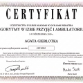 Powiększ obraz: certificate 87