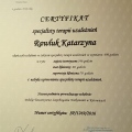 Powiększ obraz: certificate 5