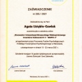 Powiększ obraz: certificate 10
