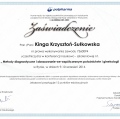 Powiększ obraz: certificate 8