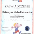 Powiększ obraz: certificate 5